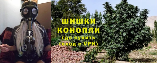 дмт Нязепетровск