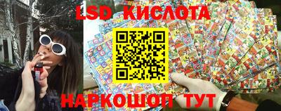 гидропоника Будённовск