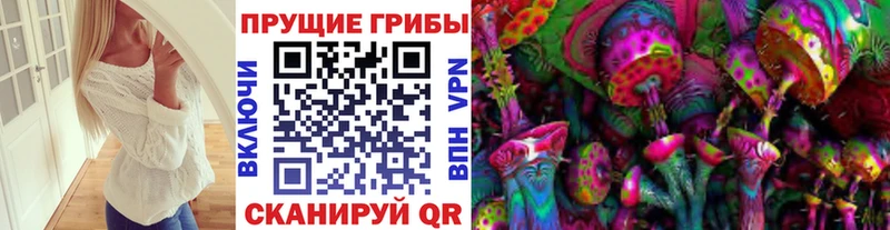 Псилоцибиновые грибы MAGIC MUSHROOMS Губаха
