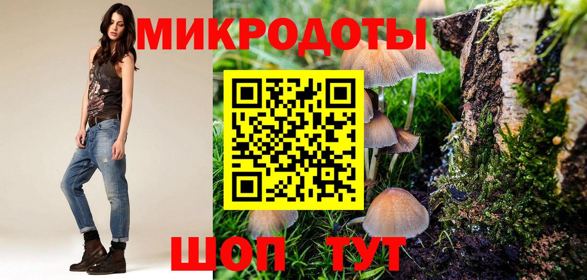 Псилоцибиновые грибы Psilocybe  Псилоцибиновые грибы ЛСД  Губаха 