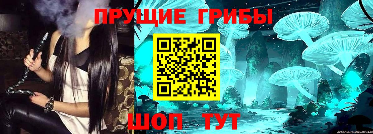 Губаха  Псилоцибиновые грибы Magic Shrooms  что такое наркотик  Вход с VPN 