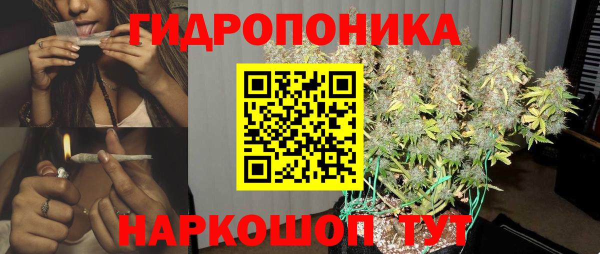 Бошки Шишки VHQ Губаха